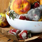 Roe Ethridge: Old Fruit