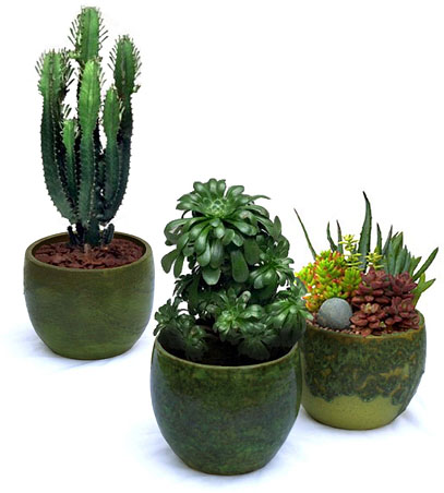 Plants do things pot by Zin Taylor